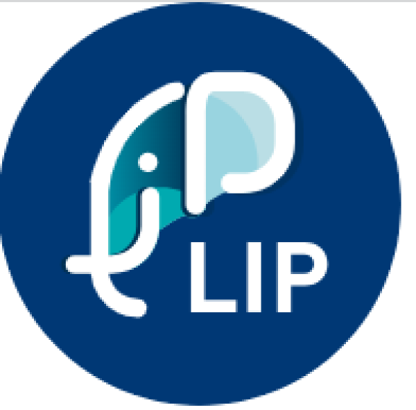 LES INTERIMAIRES PROFESSIONNELS - LIP